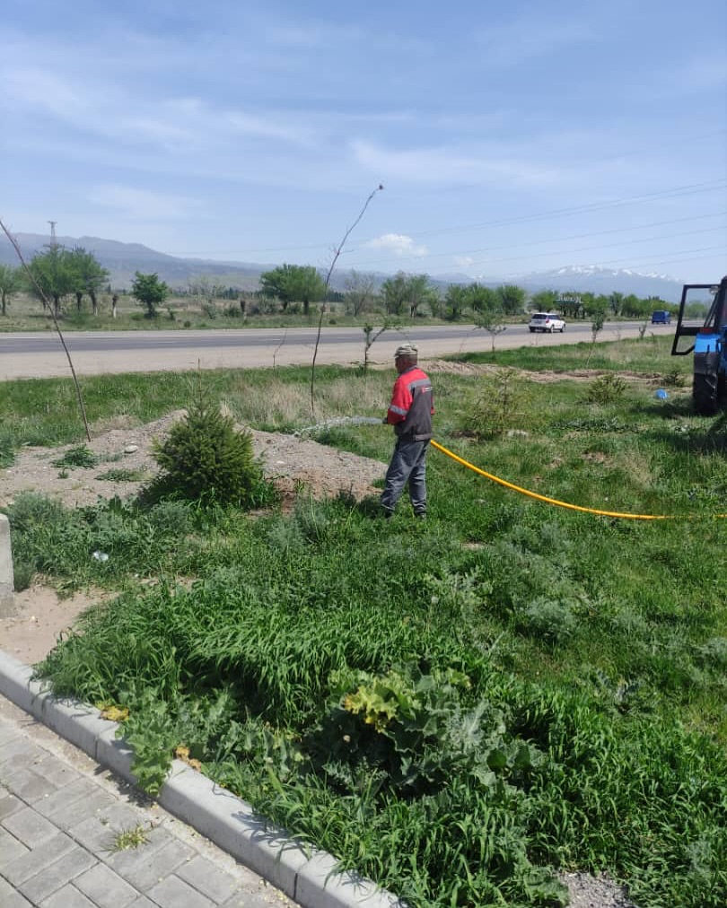 2025-жылдын 29-апрелинде Бишкек-Нарын-Торугарт Эл аралык жол каттамында жайгашкан ийне жалбырактуу бак дарактар суугарылып жатат жана (корневин) берилди.